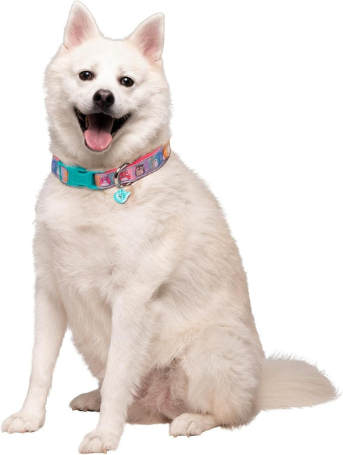 Squishmallows Original Squish Squad Pet Collar (Large) - Official Jazwares Pets Walking Apparel for Dogs...