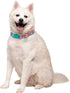 Squishmallows Original Squish Squad Pet Collar (Large) - Official Jazwares Pets Walking Apparel for Dogs...