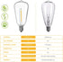 ST38 LED String Light Bulbs, 1.5 Inches Shatterproof LED Replacement Bulbs for Outdoor String Lights, 1Watt Equvanlent to 7Watt Incandescant Bulbs...