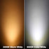 PAR20 12W Narrow Flood Light Bulb E26 Dimmable LED Bulb Spotlight Beam Angle 24 Degree 100W Halogen Warm White 3000K 2-Pack...