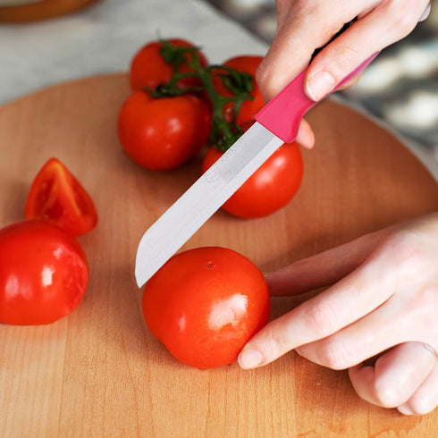 Solingen Paring Knife 6 pcs Fruit Knife Vegetable Knife Set Razor-Sharp Lightweight 3-inch Serrated Paring Knife Made in Germany (Red)...