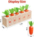 Montessori Wooden Toys Carrot Harvest Game Preschool Educational Learning Fine Motor Skills Shape Size Matching Toys Birthday Easter Basket Stuffe...