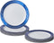 SILVER SPOONS Elegant Disposable Plates For Party - (10 Piece) Heavy Duty Disposable Dessert Set 7.5”, Fine Dining Plastic Dishes For Elegant Chin...