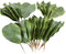 Artificial Magnolia Leaves Pack of 30 Leaves...