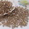DIY 4mm 1000Pcs Bulk Champagne Faceted Bicone Crystal Glass Beads with Container Box Beads for Making Jewelry (Champagne AB)...