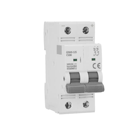 DC Miniature Circuit Breaker 2Pole 500VDC 100A 125A 6KA Thermal Magnetic Trip High Current DC Disconnect Switch Isolator Solar PV System DIN Rail ...