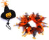 Cat Witch Halloween Costume Suit, Hmxpls Small Dogs & Cats Tutu Collar and Witch Pumpkin Hat Cute Costume Suit Kitten Outfit Clothing for Birthday...