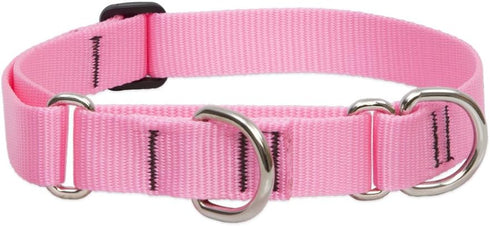 LupinePet Basics 1" Pink 19-27" Martingale Collar for Large Dogs...