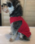 2019 Pet Clothes Dog Clothing Blank T-Shirt Tanks Top Vests for Small Medium Large Size Dogs 100% Cotton Dog Summer Vest Classic Red L...