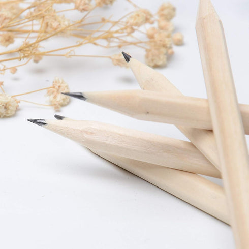 Wood Cased 2B Graphite Pencils for Drawing Sketching Writing Tests Exam Students Artists Beginners Home Office School Supplies (18)...