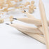 Wood Cased 2B Graphite Pencils for Drawing Sketching Writing Tests Exam Students Artists Beginners Home Office School Supplies (18)...