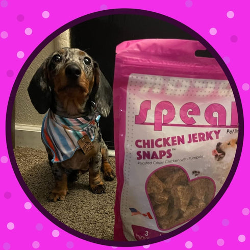Chicken Jerky Snaps, Gluten and Grain Free Low Calorie Training Treat Snacks with Pumpkin, Perfect for Dogs 14 Ounces...