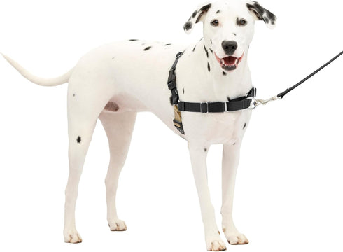 PetSafe Easy Walk No-Pull Dog Harness - The Ultimate Harness to Help Stop Pulling - Take Control & Teach Better Leash Manners - Prevent Pets Pulli...