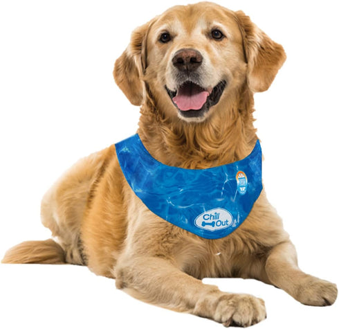ALL FOR PAWS Cooling Neck Wraps for Dogs,Ice Dog Bandanas,Dog Cooling Dog Bandana,Chill Out Blue Dog Collar Dog Collar Cat Collar,Neck Cooler,Neck...