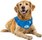 ALL FOR PAWS Cooling Neck Wraps for Dogs,Ice Dog Bandanas,Dog Cooling Dog Bandana,Chill Out Blue Dog Collar Dog Collar Cat Collar,Neck Cooler,Neck...