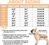 Recovery Suit for Dog After Surgery Cut Pet Recovery Shirt Dog Abdominal Wounds Bandages,Wound Protective Full Coverage Dog's Bodysuit for surgery...