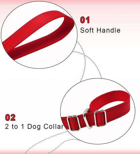 6FT Slip Lead Dog Leash Anti-Choking, Reflective Strong Nylon Flat Dog Leash, No Pulling Dog Training Leash for Small Medium and Large Dogs/Pets (...