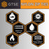 GTSE 12 Inch Brown Zip Ties, 100 Pack, 50lb Strength, UV Resistant Long Nylon Cable Ties, Self-Locking 12" Tie Wraps...