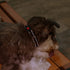 Dog Collar for Large Dogs, Nobleza Adjustable Reflective Boy Dog Collar with Safety Lock and Quick Release Buckle, Durable Nylon Pet Collar with S...