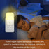 Night Light LED Auto Dusk to Dawn Sensor Light for Kitchen, Bedroom, Kids Room, Hallway, Stairway, Painting Plug in Dimmable Nightlights Lamp Brig...