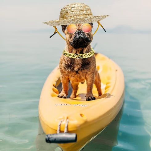 6PCS Pet Dog Cat Costume, Retro Pet Sunglasses, Adjustable Gold Chain Collar & Straw Hat, Funny Pet Accessories for Cat Puppy Small Medium Dog Bir...