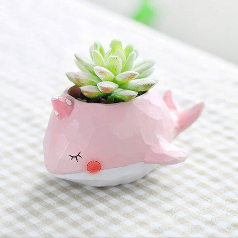 Pink Whale Animal Shaped Cartoon Succulent Planter Pots for Office,Window,Kitchen and Balcony...