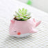 Pink Whale Animal Shaped Cartoon Succulent Planter Pots for Office,Window,Kitchen and Balcony...