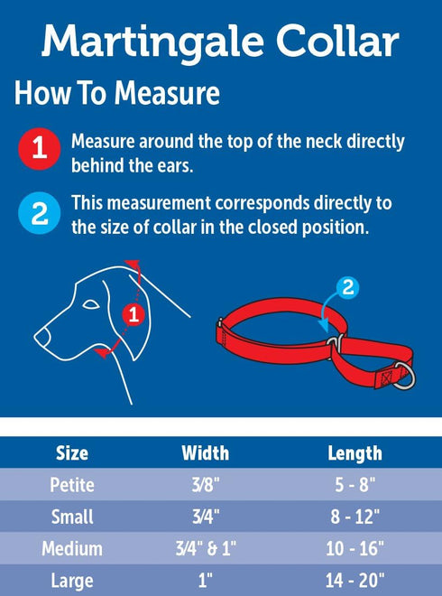 PetSafe Adjustable Martingale Collar - Only Tightens When Dogs Pull, Prevents Slipping Out - Helps with Strong Pullers, Increased Control - Altern...