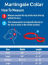 PetSafe Adjustable Martingale Collar - Only Tightens When Dogs Pull, Prevents Slipping Out - Helps with Strong Pullers, Increased Control - Altern...