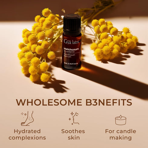 Gya Labs Helichrysum Oil for Skin - Natural Helichrysum Essential for Massages, DIY, Self-Care, Aromatherapy, Candle Making - Sweet, Earthy Scent ...