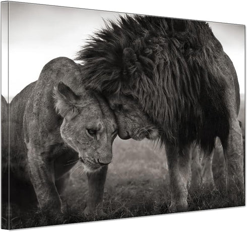 Jigsaw Puzzle for Adults -Black and White Couple Animals Africa Lion-Wooden Puzzles, Holiday Jigsaw Puzzles for Teenager,Best Brain Exercises for ...