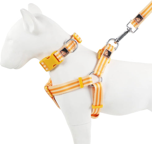 Striped Puppy Dog Collar Personalize Dog Collar for Dog Training Easy Cute Dog Collar Small Dog Collar Puppy Collars (Orange, M(16-21in))...