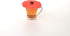 Charles Viancin Poppy Drink Cover Set/2...