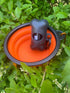Collapsible Pet Feeder, Silicone Material, Suitable for Cats and Dogs, Outdoor Use...