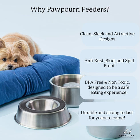 Hand Painted Multicolour Anti-Skid Stainless Steel Water and Food Feeding Bowl for Adult Dogs, Puppies, Cats |Stainless Steel | Anti-Skid | Easy t...