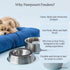 Hand Painted Multicolour Anti-Skid Stainless Steel Water and Food Feeding Bowl for Adult Dogs, Puppies, Cats |Stainless Steel | Anti-Skid | Easy t...