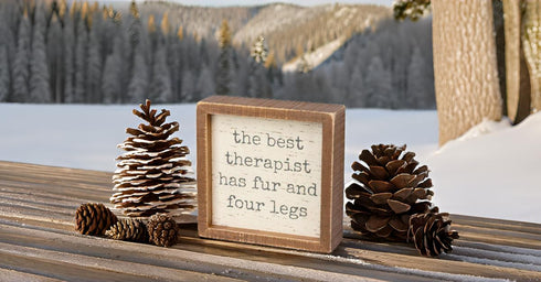 Primitives by Kathy 100692 Inset Wood Box Sign, 6 x 6 x 1.75-Inches, Four Legs...