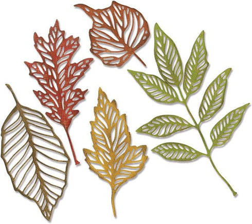 Sizzix TH Thinlits Skeleton Leaves, None...