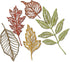Sizzix TH Thinlits Skeleton Leaves, None...
