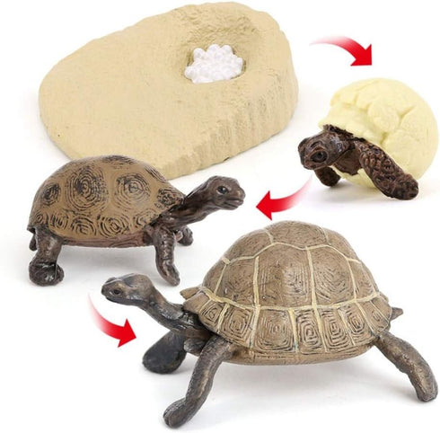 4PCS Elephant Tortoise Animal Life Cycle,Insect Growth Cycle Model,Hand Painting Animal Figures,Educational Toy,Cake Toppers Christmas Birthday Gi...
