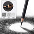 Professional Charcoal Pencils Drawing Set - 10 Pieces Soft Medium and Hard Charcoal Pencils for Drawing, Sketching, Shading...