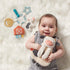 Itzy Ritzy Farm Toy Gift Set - Includes Cow Lovey & Farm-Themed Car Seat and Stroller Toy...
