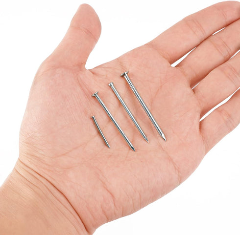 Coceca 200 Pack Hardware Nails for Hanging Pictures, 4 Size Zinc Tiny Nail Assorted Kit, Picture Nail, Small Nails, Finishing Nail, Wall Nails and...