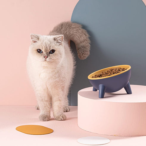 Tilted Cat Bowl 15° Slanted Dog Bowl Non-Slip Raised Pet Food Bowl with Triangular Stand for Small Pets Non-Spill Cat Supplier Feeder Bowl 9.2 Oun...