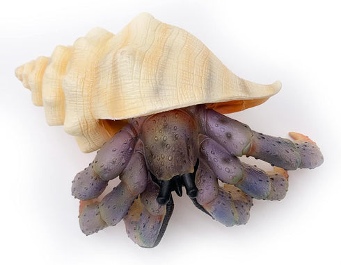 Gemini&Genius Sea Animal Hermit Crab Action Figure Toy for Kids, Soft Rubber Realistic Ocean Crab Educational and Role Play Toys for Kids and Coll...