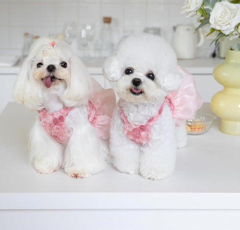 Dog Dresses for Small Dogs Girl Rose Flower Dog Tutu Pink Fairy Pleated Tulle Skirt for Puppy Birthday Party Dress Pet Fashion Outfits (M(Back 9.0...