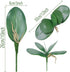 FagusHome 6 PCS Artificial Phalaenopsis Orchids Leaves 11 inches Green Faux Orchids Leaf (6 Pcs)...