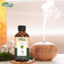 Birch (Betula) Oil | Pure & Natural Essential Oil for Skincare, Hair Care, Aroma & Diffusers- 30ml/1.01fl oz...