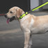 FEimaX Reflective Dog Collar, Adjustable Dog Collars with Safety Locking Buckle, Soft Breathable Nylon Pet Collar for Small Medium Large Dogs (XS(...