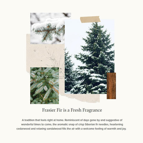 Thymes Frasier Fir 12" Taper Candle Set– Scented Candle with Notes of Crisp Siberian Fir, Cedarwood and Sandalwood - Seasonal House Decor - Luxury...